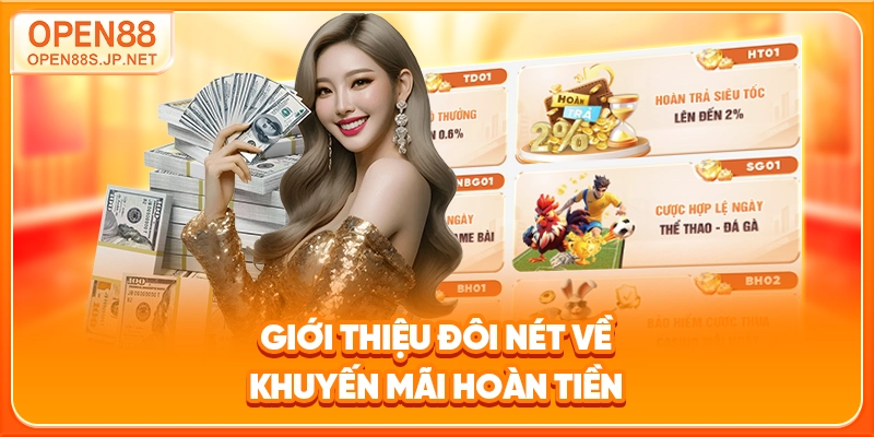 gioi-thieu-doi-net-ve-khuyen-mai-hoan-tien