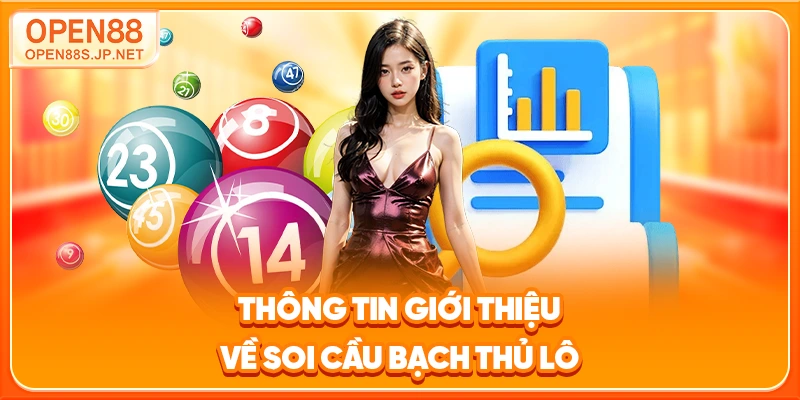 thong-tin-gioi-thieu-ve-soi-cau-bach-thu-lo